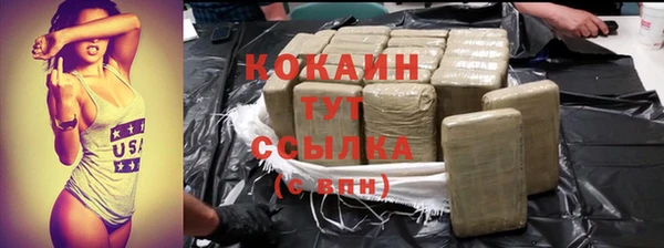 стафф Ельня