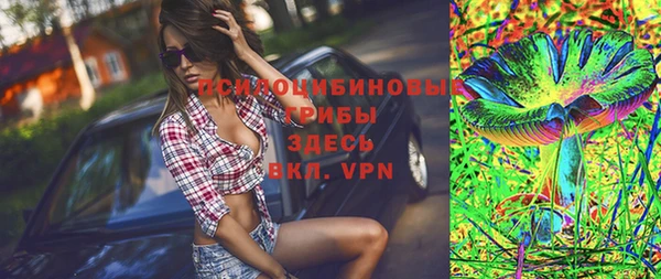 стафф Ельня