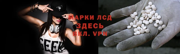 стафф Ельня