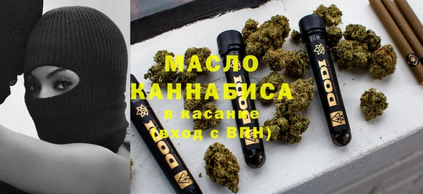 стафф Ельня