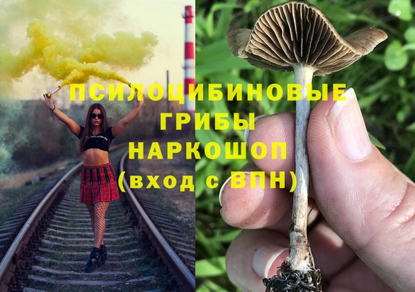 эйфоретик Елабуга