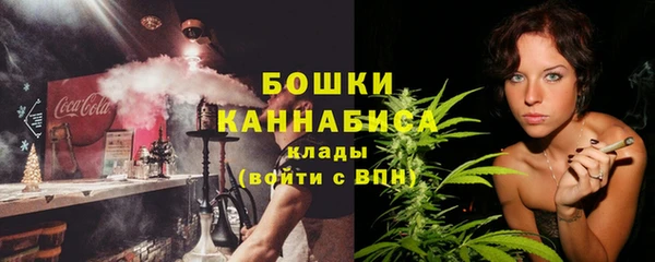 стафф Ельня