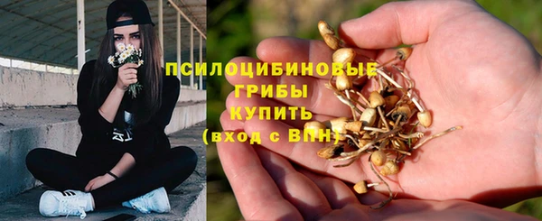 эйфоретик Елабуга