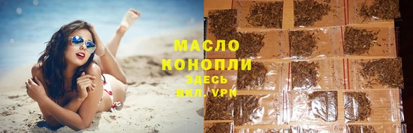 стафф Ельня