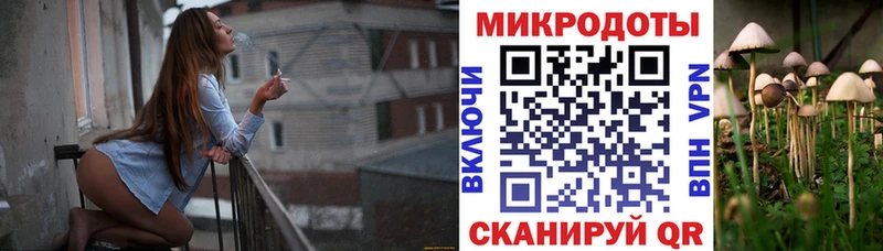 где найти наркотики  Рошаль  Галлюциногенные грибы Cubensis 