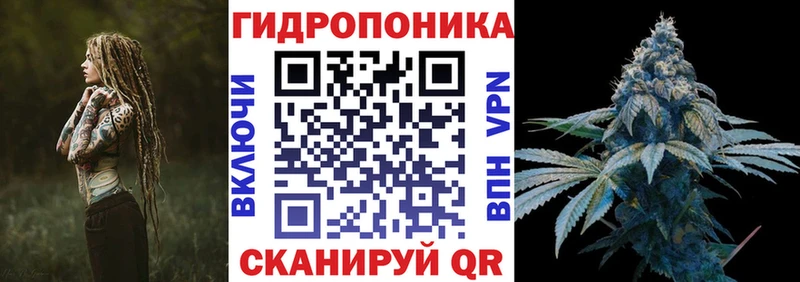 Бошки марихуана индика  Рошаль 